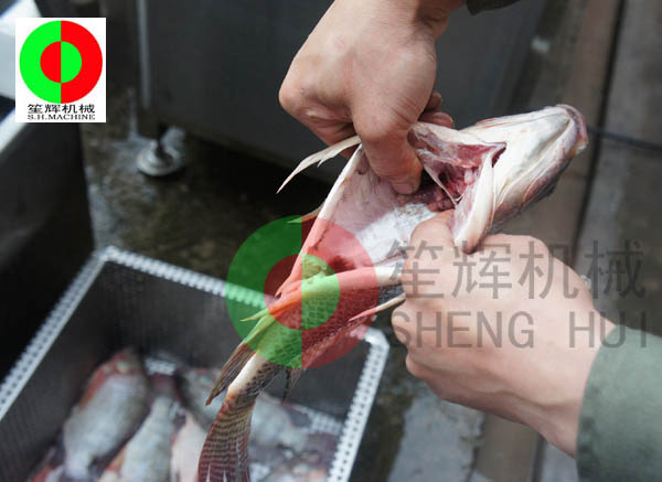 殺魚(yú)生產(chǎn)線