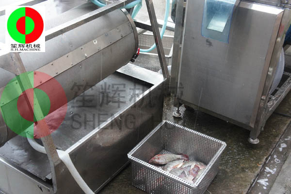 殺魚(yú)生產(chǎn)線