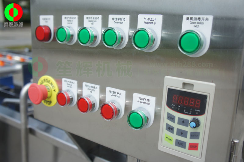 全網(wǎng)鏈輸送洗菜機(jī)