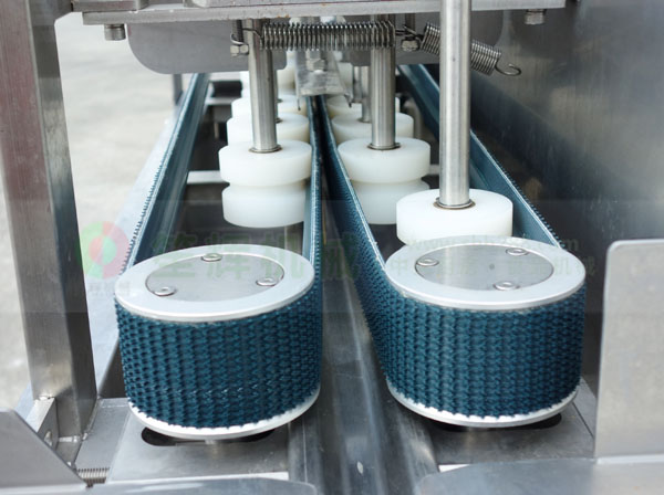 全動(dòng)自殺魚機(jī)