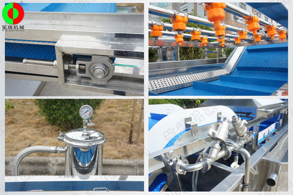 蔬果無損清洗機(jī)