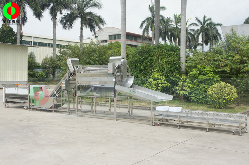 鯪魚加工生產(chǎn)線