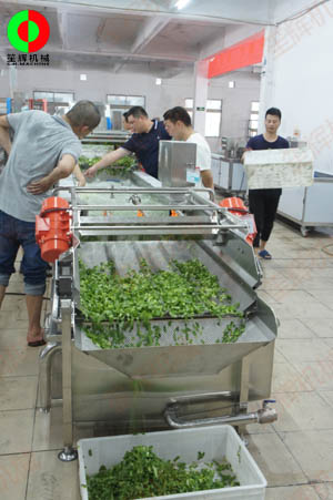 客戶親臨我司實(shí)地考察工廠及蔬果切割清洗生產(chǎn)線設(shè)備！