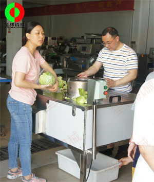 蔬果分瓣機現(xiàn)場測試，客戶滿意切割效果！