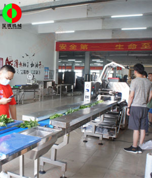 枕式蔬果包裝生產(chǎn)線,客戶現(xiàn)場測試驗(yàn)收！