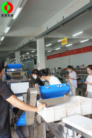 惠州客戶王小姐親臨我司測試洋蔥脫皮及切碎設(shè)備！