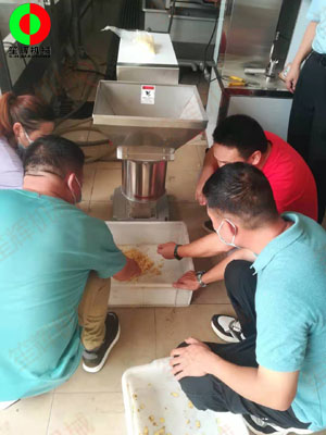 江門客戶謝先生親臨我司測試生姜清洗脫皮及打碎設(shè)備！