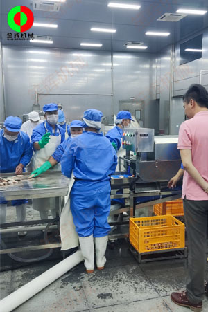 廣東中山某大型水產(chǎn)加工設(shè)備落成現(xiàn)場！