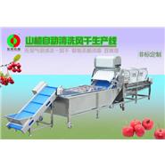 山楂清洗生產線/山楂清洗風干生產線