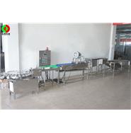 打蛋生產(chǎn)線/清洗、風(fēng)干、光檢、24頭打蛋生產(chǎn)線(視頻)